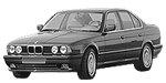 BMW E34 P110C Fault Code