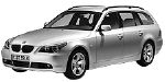 BMW E61 P110C Fault Code