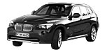 BMW E84 P110C Fault Code