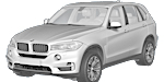 BMW F15 P110C Fault Code